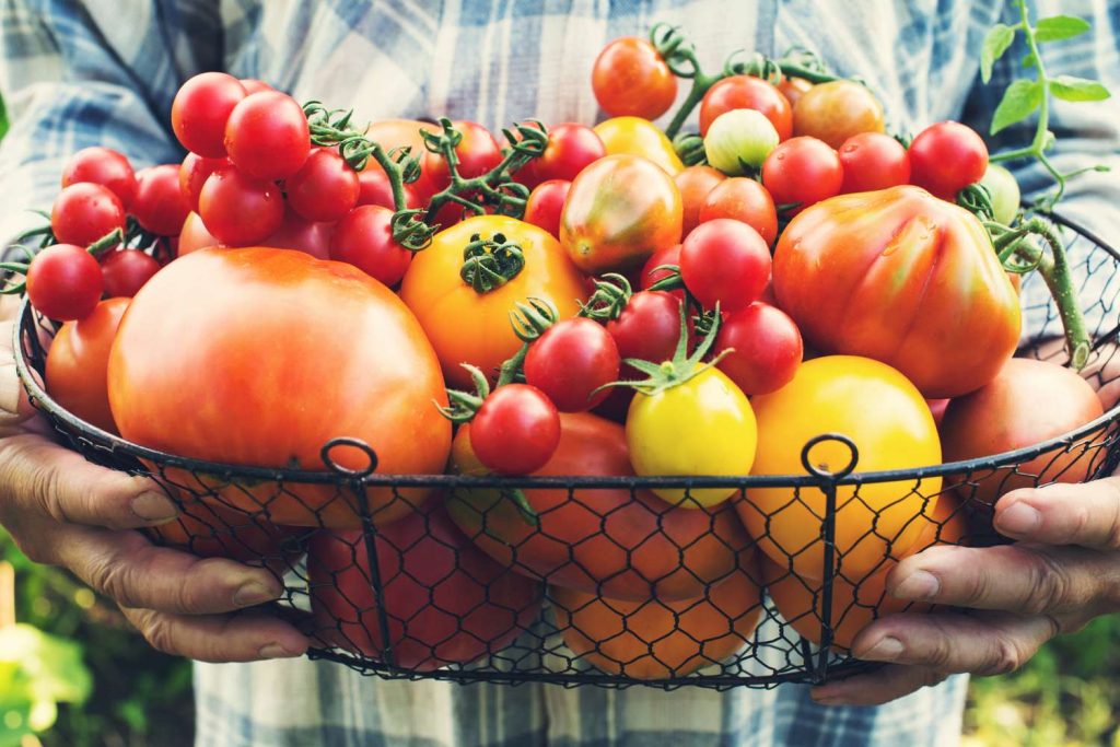 HEALTH BENEFITS OF EATING TOMATOES FOR MEN